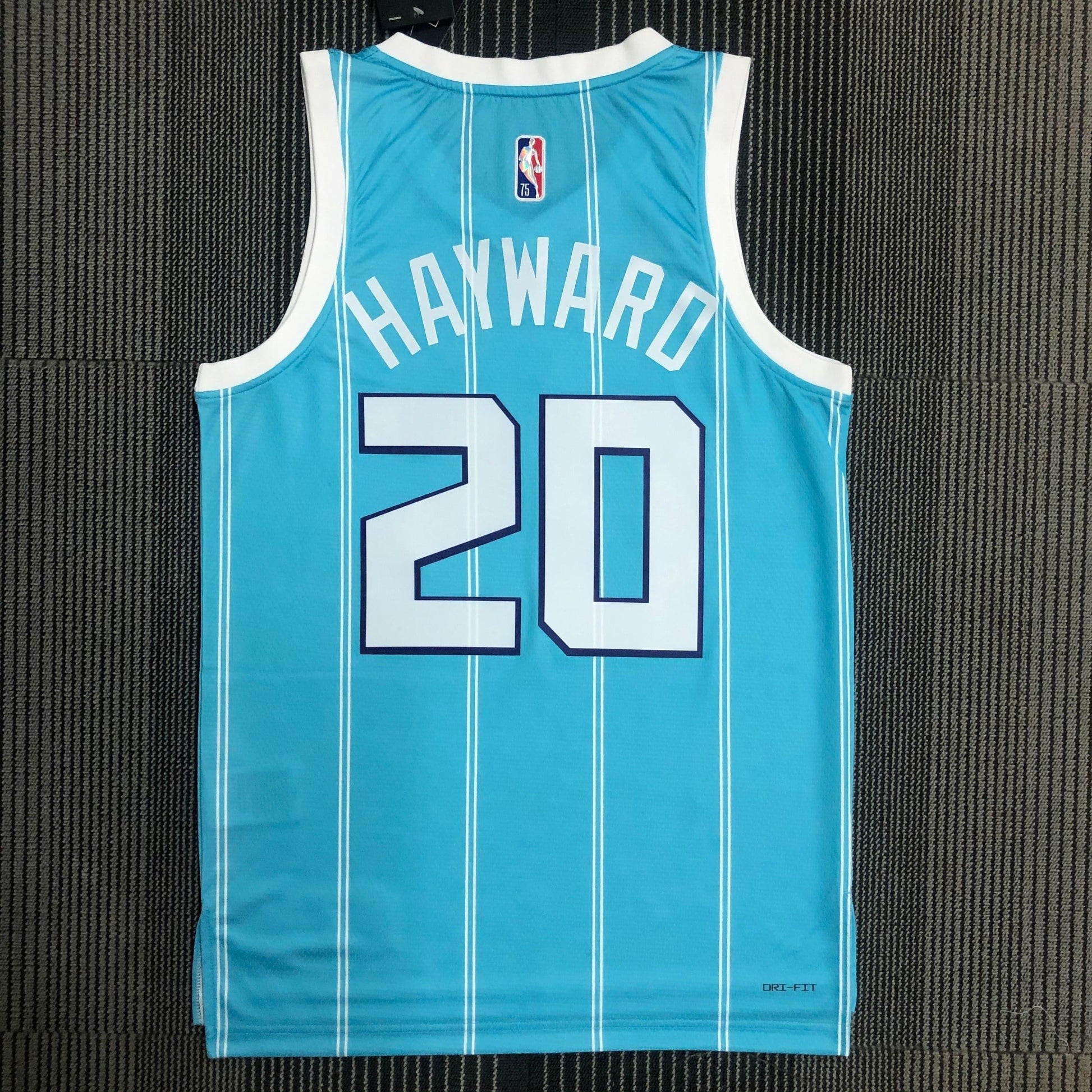 Jersey Charlotte Hornets Icon Edition Diamante 75th - GOAT STORE